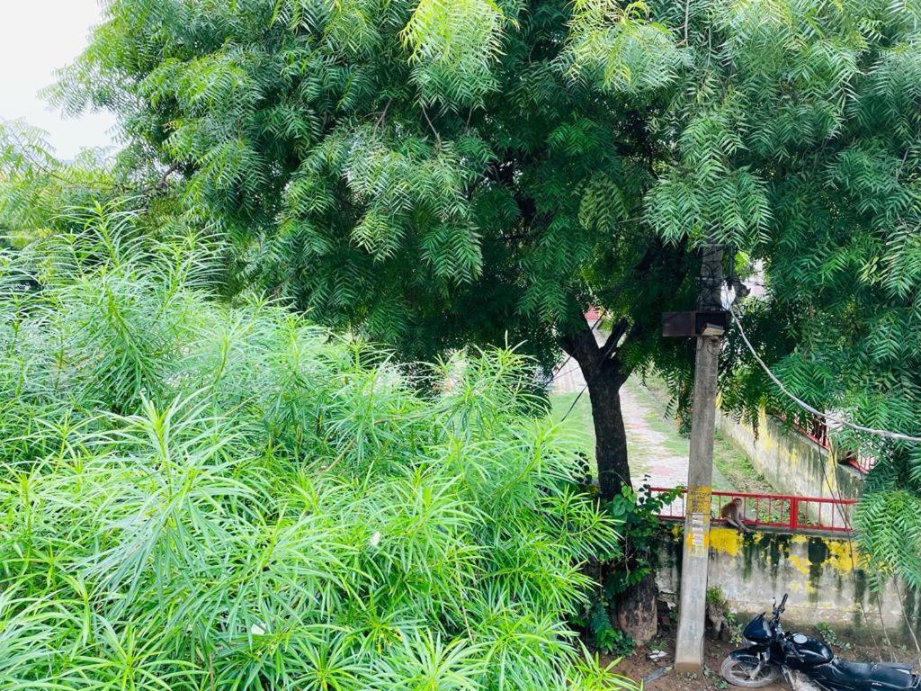 Shree Balaji Homestay Ayodhya Buitenkant foto